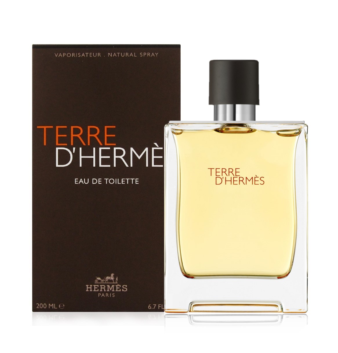 Terre D'Hermes Eau De Toilette - Perfume For Men | Godwell Cosmetic